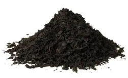 Earl Grey luxus sort