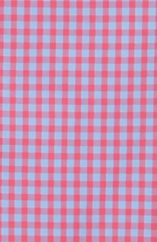 Ternet skjorte i blå og pink